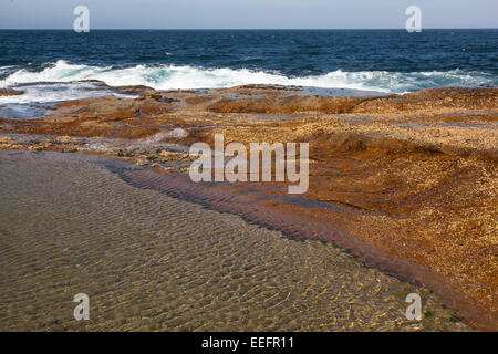 Einen Ausschnitt aus einem Rockpool treffen den Ozean in Sydney, Australien Stockfoto