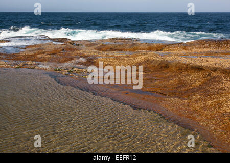 Einen Ausschnitt aus einem Rockpool treffen den Ozean in Sydney, Australien Stockfoto