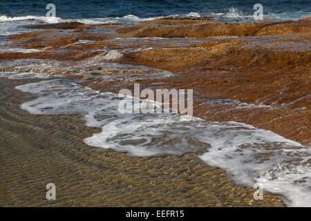 Einen Ausschnitt aus einem Rockpool treffen den Ozean in Sydney, Australien Stockfoto