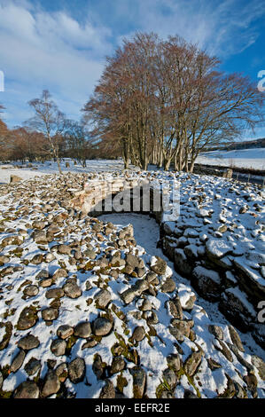 4000 Jahre alten prähistorischen Beerdigung Cairns von Bulnuaran von Schloten, in der Nähe von Culloden, Inverness. Schottland.  SCO 9425. Stockfoto