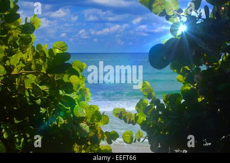 schöne Strand-Szene Stockfoto