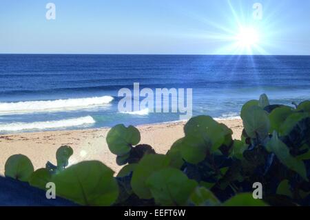 schöne Strand-Szene Stockfoto