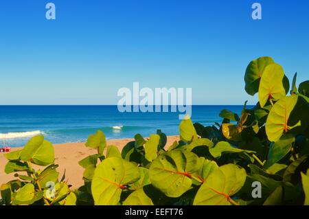 schöne Strand-Szene Stockfoto