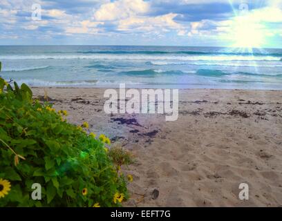 schöne Strand-Szene Stockfoto