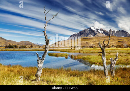 Torres del Paine Nationalpark, Patagonien, Chile Stockfoto