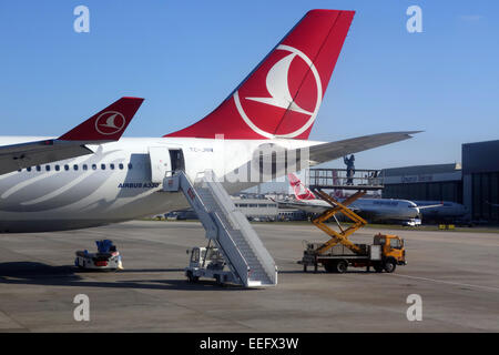 Istanbul, Türkei, Heckflügel Maschinen Fluggesellschaft Turkish Airlines Stockfoto