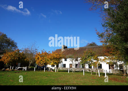 Eine Reihe von weißen strohgedeckten Hütten durch einen Dorfanger mit Bäumen im Herbst Laub. Stockfoto