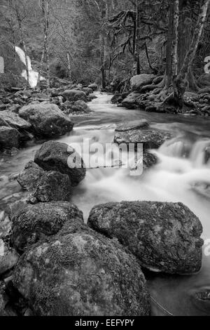 Todd Bach und Wasserfall in Sooke Potholes Park-Sooke, Britisch-Kolumbien, Kanada. Stockfoto