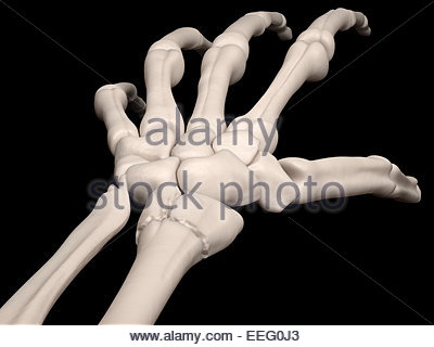 abriss processus styloideus ulnae therapie abriss processus styloideus ulnae therapie