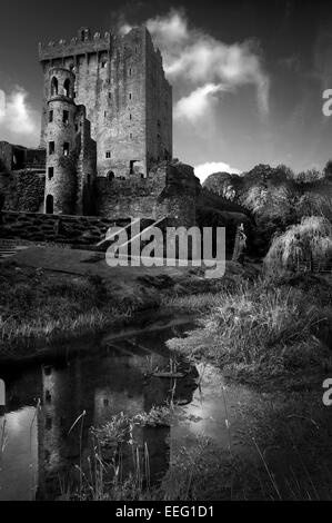 Blarney Castle. Atmosphärisch, stimmungsvoll schwarz-weiß mit Reflexion Stockfoto