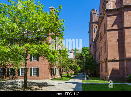 Der alte Campus mit Vanderbilt Hall auf der rechten Seite und McClellan Halle auf der linken Seite, Yale University, New Haven, Connecticut, USA Stockfoto