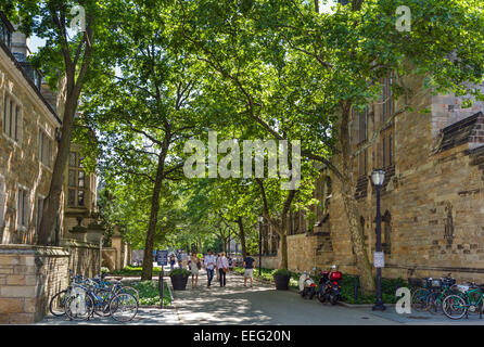 Wall Street Eingang zum Cross Campus an der Yale University, New Haven, Connecticut, USA Stockfoto