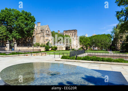 Das Kreuz Campus an der Yale University, New Haven, Connecticut, USA Stockfoto