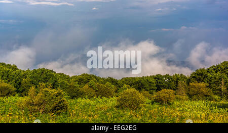 Alte Lappen Berg in Wolken, gesehen vom Skyline Drive im Shenandoah-Nationalpark, Virginia. Stockfoto