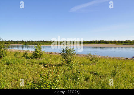 Die polaren Ural, die untere Oberlauf des Flusses Lemva, Republik Komi, Russland. Stockfoto