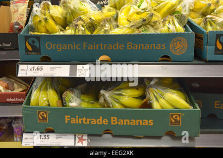 Bio-Lebensmittel Fairtrade reif frisch Bananen in Boxen auf Regalen angezeigt Obst zum Verkauf innen große Tesco Lebensmittel Supermarkt Store London England Großbritannien Stockfoto