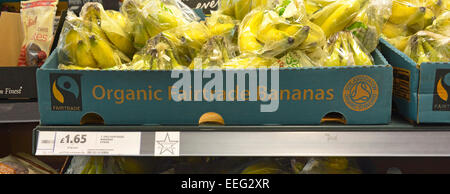 Bio-Lebensmittel Fairtrade reif frisch Bananen in Boxen auf Regalen angezeigt Obst zum Verkauf innen große Tesco Lebensmittel Supermarkt Store London England Großbritannien Stockfoto