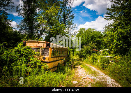 Schulbus auf einem Schrottplatz. Stockfoto