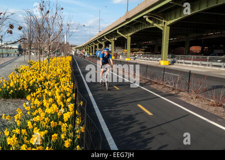 New York, NY - Mann mit dem Fahrrad auf der Westseite Greenway in West Harlem Piers Park. © Stacy Walsh Rosenstock/Alamy Stockfoto