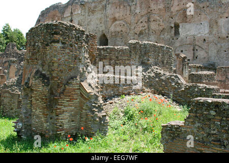 Italien, Rom, Palatino, Palatin, Archaeologie, Arbeiten, Ausgrabung, Ausgrabungen, Europa, Region Latium, Funde, Ausgrabungsstae Stockfoto