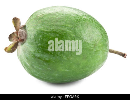 Feijoa Obst isoliert auf einem weißen Hintergrund. Datei enthält Beschneidungspfade Stockfoto