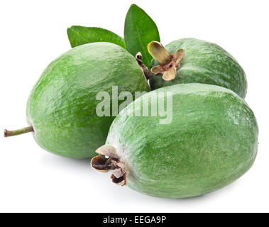 Drei Feijoa Früchte mit Blättern isoliert auf einem weißen Hintergrund. Stockfoto