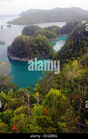 Painemu Sicht, Fam Inseln, Raja Ampat, Provinz Papua, Indonesien Stockfoto