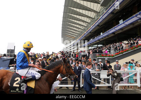 Royal Ascot, Cannock Chase mit Ryan Moore, nach dem Gewinn der dreihundertjährigen Einsätze Stockfoto