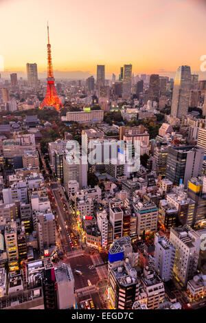 Blick auf Skyline von Tokyo, Tokio. Stockfoto