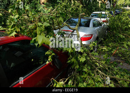 Essen, Deutschland, Sturmschäden, Unwetter in NRW Stockfoto