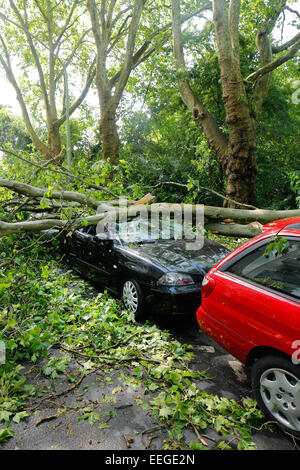 Essen, Deutschland, Sturmschäden, Unwetter in NRW Stockfoto