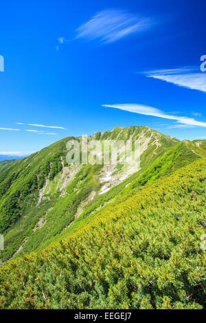 Südalpen Mt. Senjougatake, Yamanashi, Japan Stockfoto