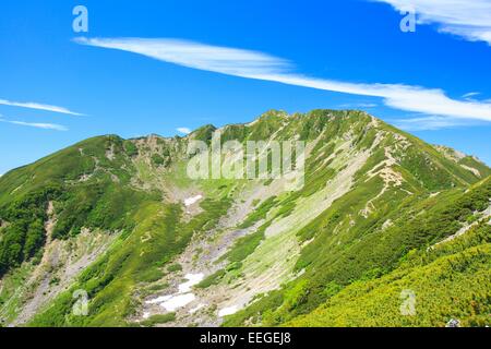Südalpen Mt. Senjougatake, Yamanashi, Japan Stockfoto