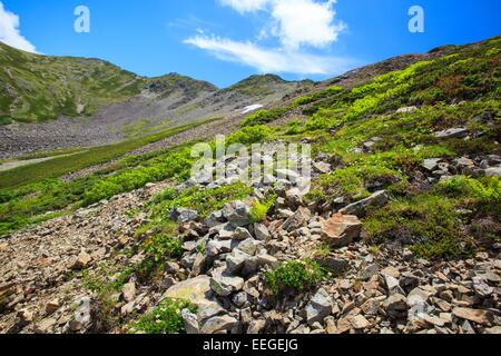 Südalpen Mt. Senjougatake, Yamanashi, Japan Stockfoto