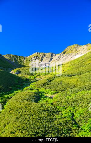 Südalpen Mt. Senjougatake, Yamanashi, Japan Stockfoto
