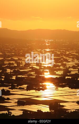 Sonnenuntergang auf überfluteten Reisfeld, Sankyoson, Toyama, Japan Stockfoto