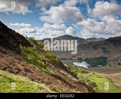 Blick hinunter auf Blea Tarn von Seite Hecht, Langdale Pikes, Lake District, Cumbria. England-UK Stockfoto