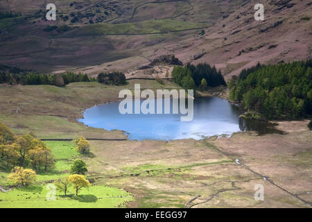 Blick hinunter auf Blea Tarn von Seite Hecht, Langdale Pikes, Lake District, Cumbria. England-UK Stockfoto