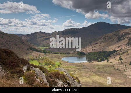 Blick hinunter auf Blea Tarn von Seite Hecht, Langdale Pikes, Lake District, Cumbria. England-UK Stockfoto