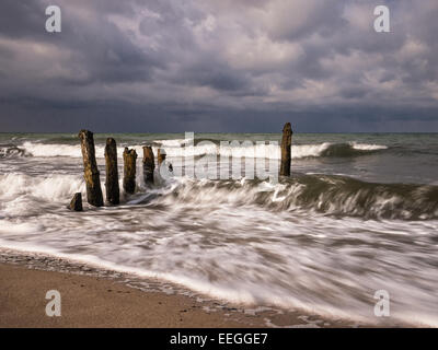 Am Ufer der Ostsee. Stockfoto