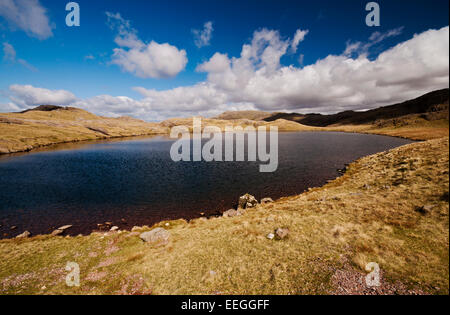 Beregnung Tarn in den Lake District National Park. Stockfoto