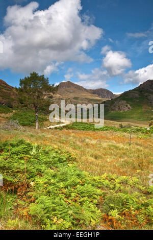 Langdale Pikes, Lake District, Cumbria. England-UK Stockfoto