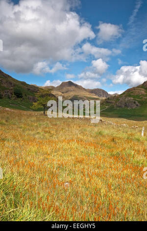 Langdale Pikes, Lake District, Cumbria. England-UK Stockfoto