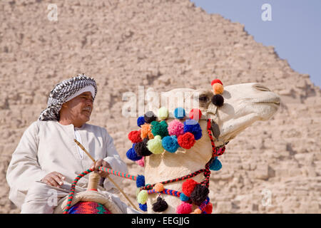 Ägyptische sitzen auf einem Kamel in den Hintergrund der Gizeh-Pyramiden Stockfoto