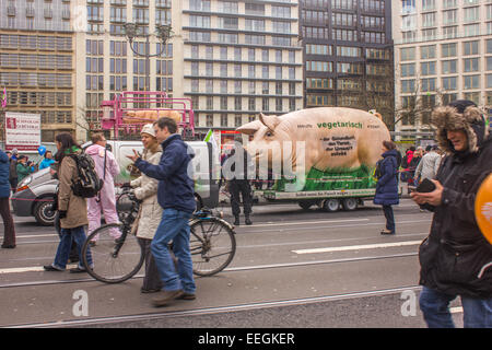 Tausende Menschen protestieren gegen industrielle Scheunen, wo Tiere in erträglich Bedingungen am 17. Januar 2015 in Berlin sind. Stockfoto