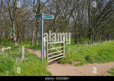 Ein hölzernes Tor auf dem Weg von John Muir, Langstrecken-Wanderweg. East Lothian, Schottland. Stockfoto