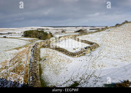 42 Milecastle auf dem Hadrianswall in Northumberland National Park Stockfoto