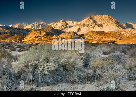 Mt Humphreys und Becken Mtn in Eastern Sierra Nevada bei Sonnenaufgang im Winter, Rabbitbush, Buttermilch Land, Kalifornien, USA Stockfoto