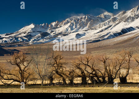 Mt Humphreys in der östlichen Sierra Nevada im Winter von Round Valley in der Nähe von Bishop, Kalifornien, USA Stockfoto