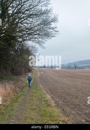 Ein Walker in den englischen Chiltern Hills mit weißer Hund Stockfoto